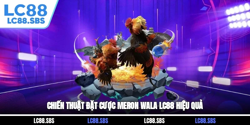 Chiến Thuật Đặt Cược Meron Wala LC88 Hiệu Quả