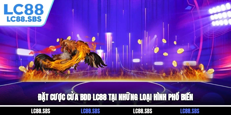 Đặt cược cửa BDD LC88 tại những loại hình phổ biến