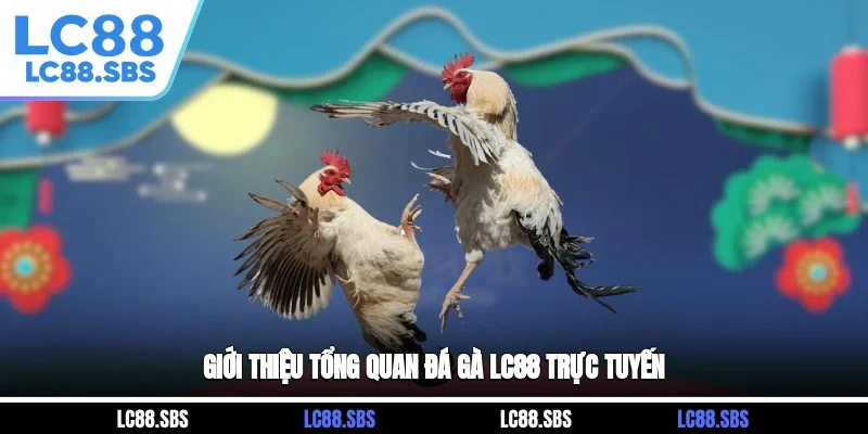 Giới thiệu tổng quan đá gà LC88 trực tuyến