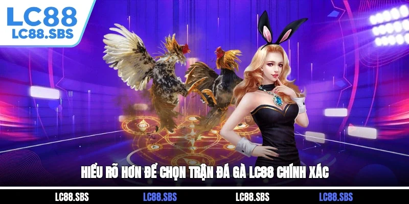 Hiểu rõ hơn để chọn trận đá gà LC88 chính xác