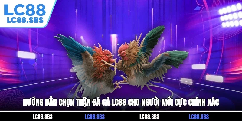 Hướng Dẫn Chọn Trận Đá Gà LC88 Cho Người Mới Cực Chính Xác