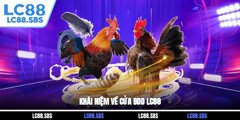 Khái niệm về cửa BDD LC88