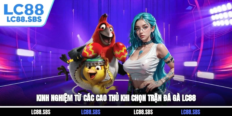 Kinh nghiệm từ các cao thủ khi chọn trận đá gà LC88